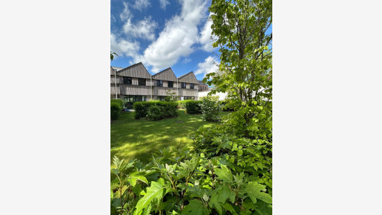 Harmoniestraat - 9 - 3001 - 2018