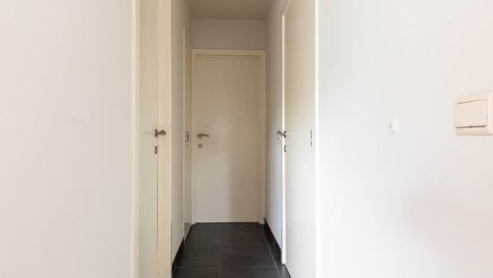 Wijngaardstraat - 18 - 2.1 - 3740