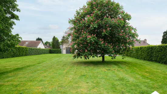 Kleine Kruisstraat - 42 - - 3540