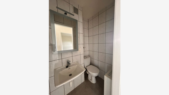 Grote Baan - 116 - 2 - 3511