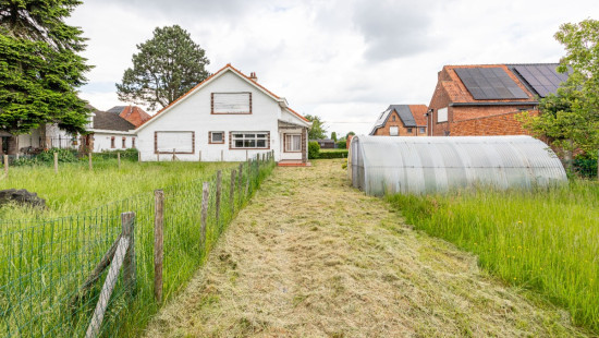Nieuwestraat - 9 - - 9960