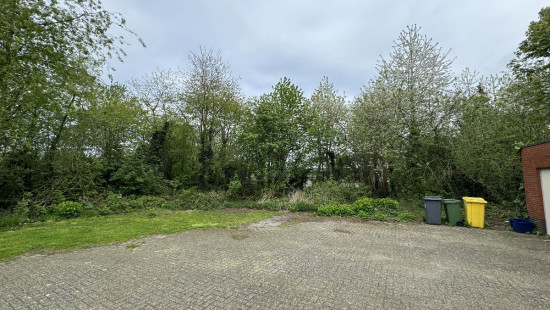 Blauwvoetstraat - zn - - 2260