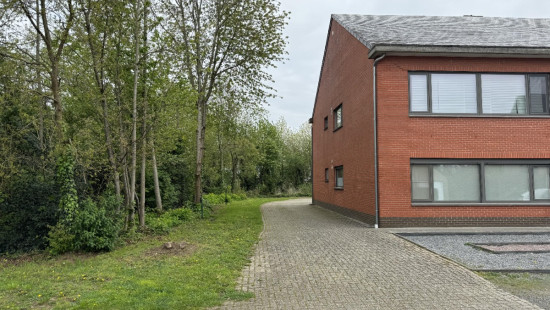 Blauwvoetstraat - zn - - 2260