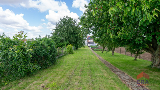 Oorbeeksesteenweg - rv 192 - - 3300