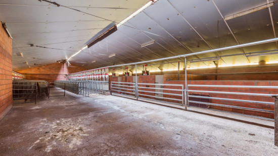Gemenestraat - 20A - - 9130