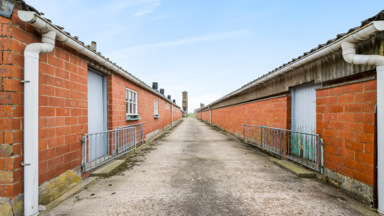 Gemenestraat - 20A - - 9130