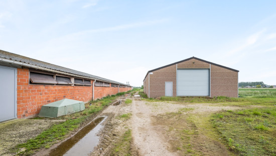 Gemenestraat - 20A - - 9130