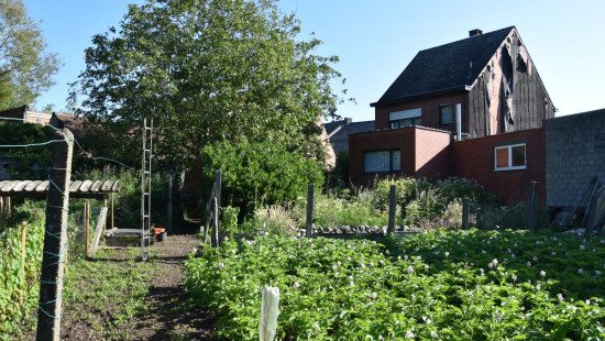 Dorp - 37-39 - - 2275