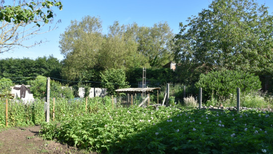 Dorp - 37-39 - - 2275