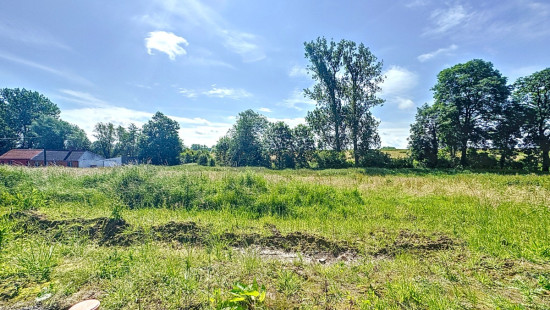 rue du sept Juillet - Lot 4 - - 7804