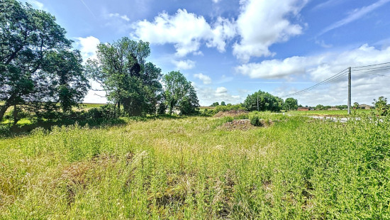 rue du sept Juillet - Lot 8 - - 7804