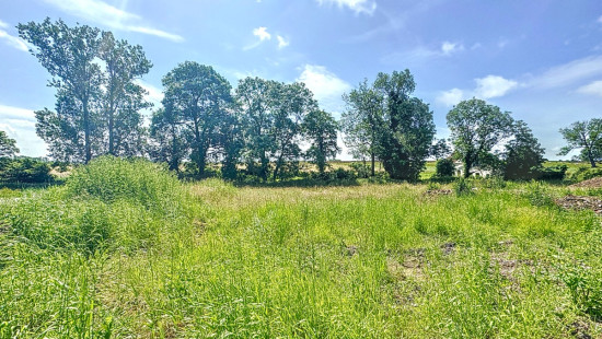 rue du sept Juillet - Lot 10 - - 7804