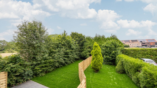 Hoveniersstraat - 31 - - 2.2 - 2300