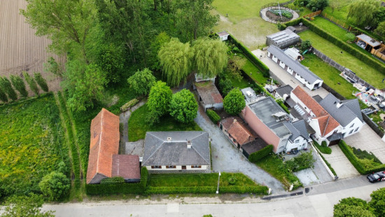 Beveren Dries - 88 - lot 4 - 8791