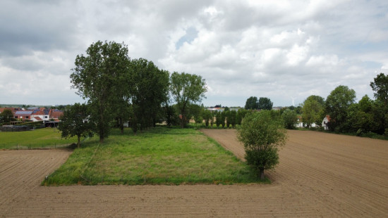 Beveren Dries - 88 - lot 4 - 8791