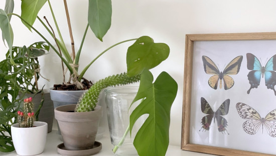 Theodoor Sevenslaan - 90 - 32 - 8500