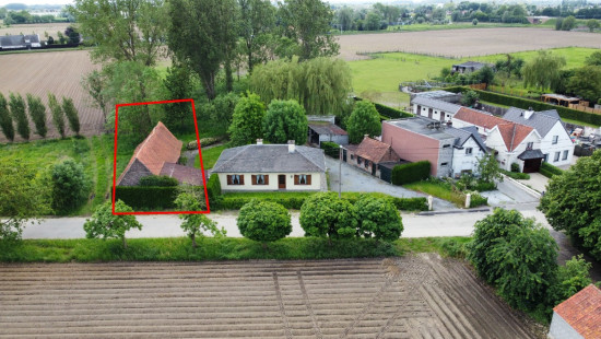 Beveren Dries - 88 - lot 4 - 8791