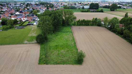 Beveren Dries - 88 - lot 4 - 8791