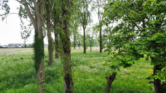 Beveren Dries - 88 - lot 4 - 8791