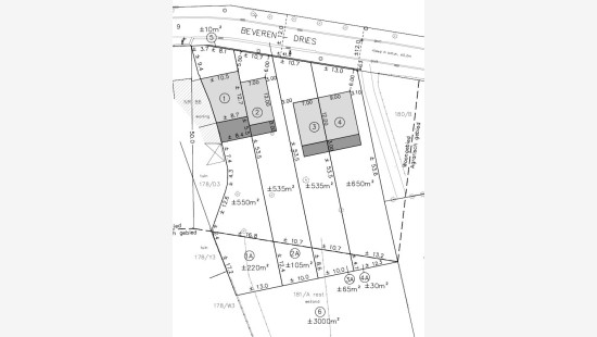 Beveren Dries - 88 - lot 4 - 8791