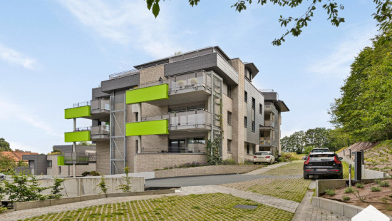 Chaussée de Nivelles - 222 - D41 - D41 - 1420