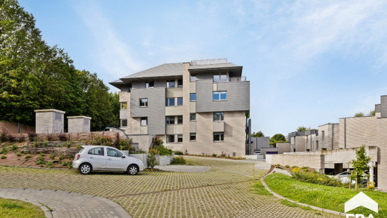 Chaussée de Nivelles - 222 - D41 - D41 - 1420