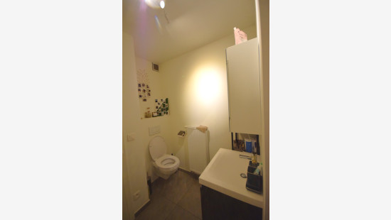 Diestsestraat - 203 - 0101 - 3000