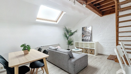 Rue Théodore Verhaegen - 165 - 4 - 1060