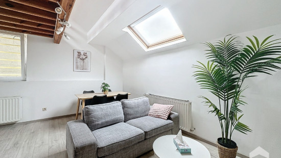 Rue Théodore Verhaegen - 165 - 4 - 1060