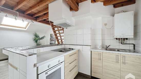 Rue Théodore Verhaegen - 165 - 4 - 1060