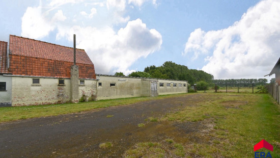 Peperstraat - 113 - - 9900
