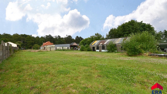 Peperstraat - 113 - - 9900