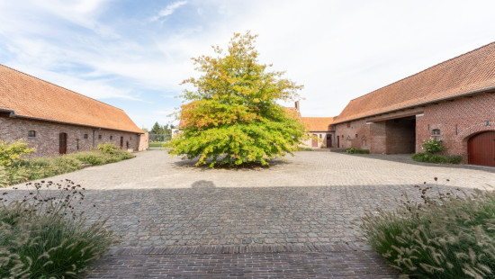 Wittepoortlaan - 31 - - 8940