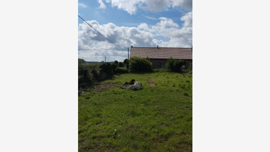 Rue de la Ligne - / - - 7387