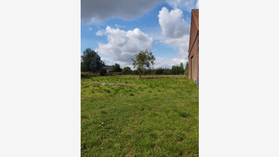 Rue de la Ligne - / - - 7387