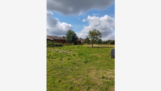 Rue de la Ligne - / - - 7387