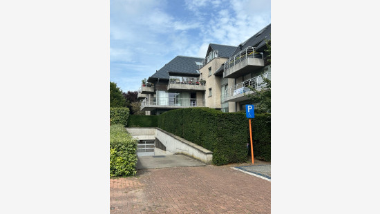 Wilgenpad - 1 - G18 - 8660