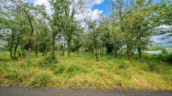 Rue des Monts - 0 Lot 2 - - 6990