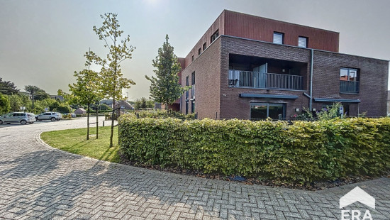 Rue Léon Maubert - 1 - 1.4 - 7060