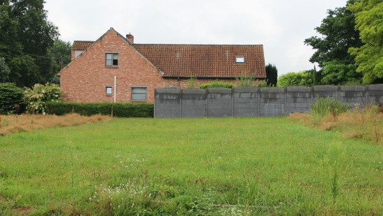 Kollebloem - zn - lot 3 - 3550