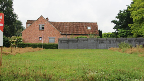 Kollebloem - zn - lot 3 - 3550