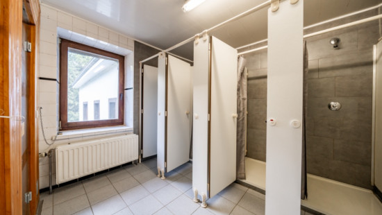 Rue de la Roche - 51 - - 6660