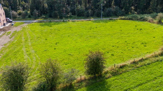 Tier de viné - 0 - - 6940