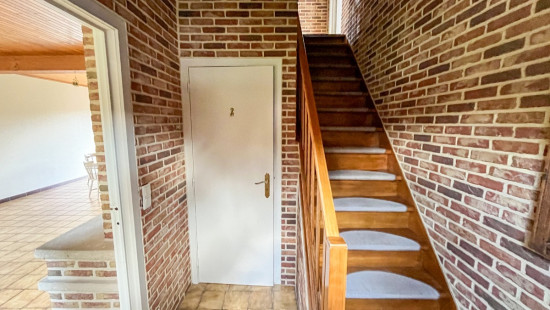 Hoenderdreef - 4 - - 9870