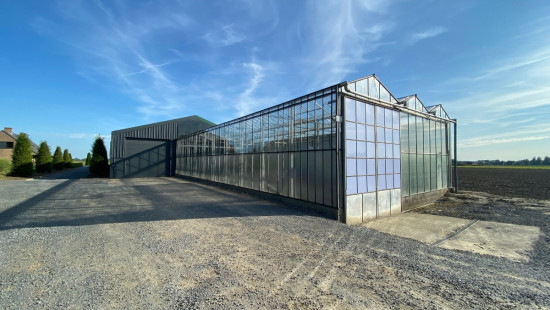 Turkeijensteenweg - 19 - - 8740