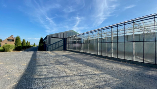 Turkeijensteenweg - 19 - - 8740