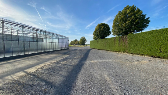 Turkeijensteenweg - 19 - - 8740