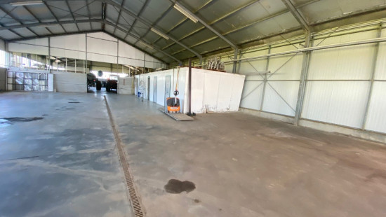 Turkeijensteenweg - 19 - - 8740