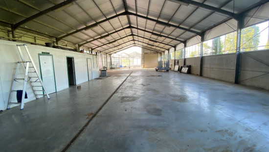 Turkeijensteenweg - 19 - - 8740