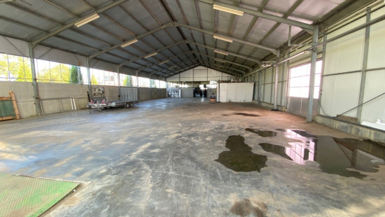 Turkeijensteenweg - 19 - - 8740